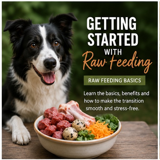 Getting Started with Raw Feeding